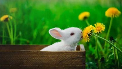 九游体育-体育新闻中心公告运动员反兴奋剂视频课程上线信息，运动员反兴奋剂听后感