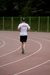 九游官网入口充值-高校运动训练效果科学评估研究，运动训练高校排名